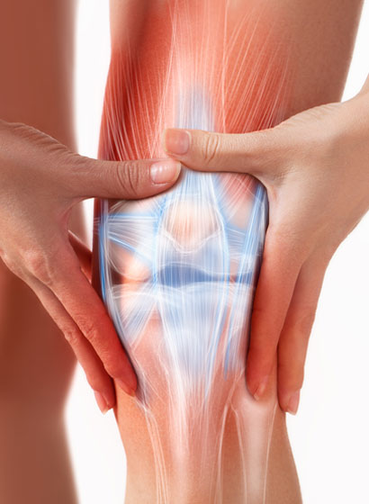 Case Study Image